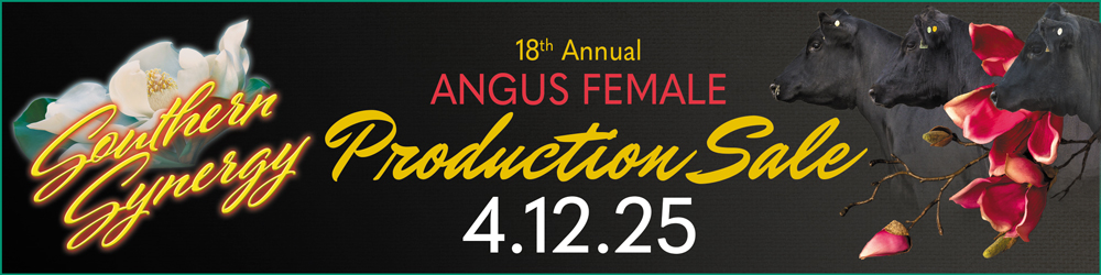 18th Annual Angus Female Sale Artwork