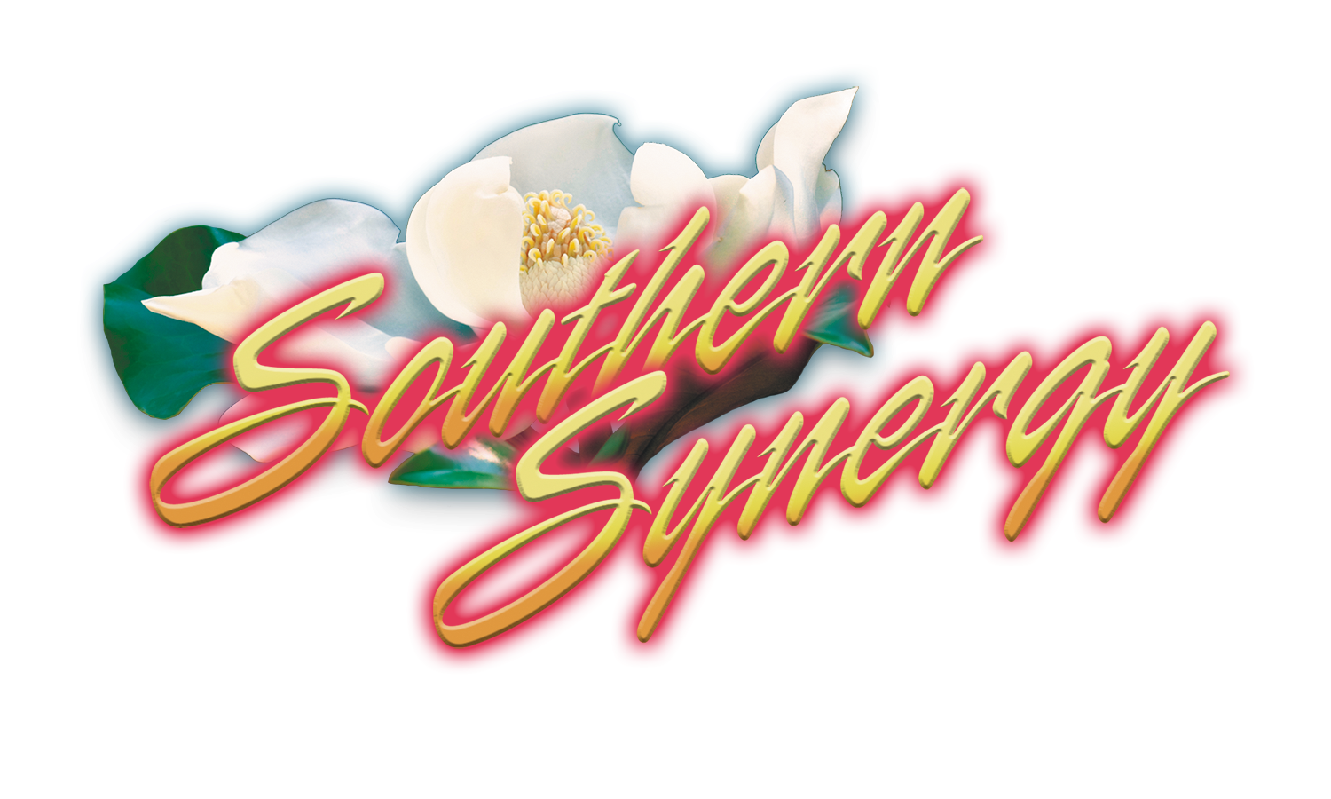 Southern Synergy sale logo